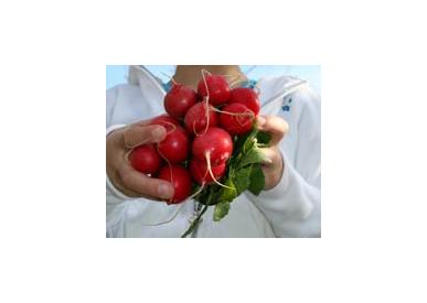 Door To Door Organics