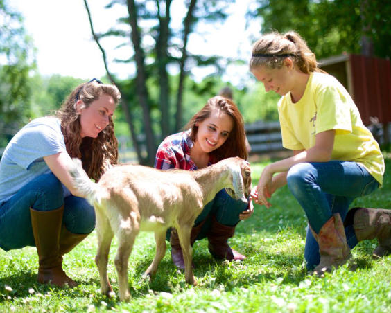 Natural Valley Ranch - Petting Zoo Animals