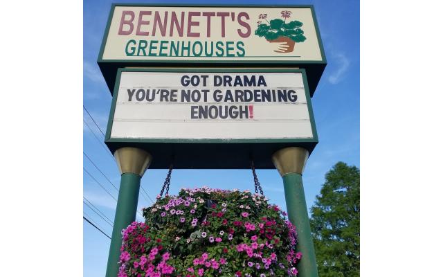 Bennett’s Greenhouse