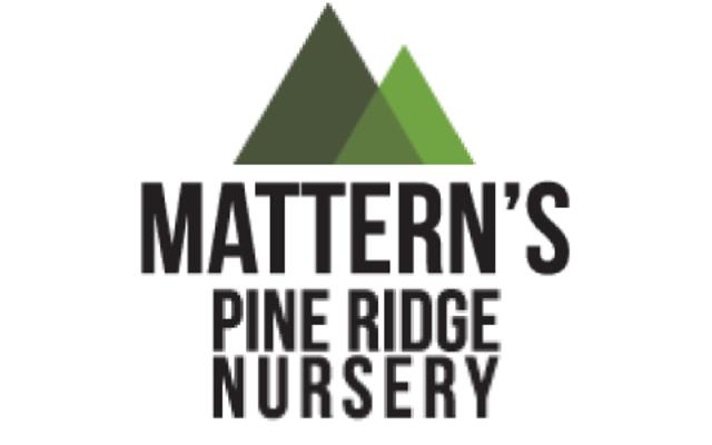 Mattern's Pine Ridge Nursery Logo
