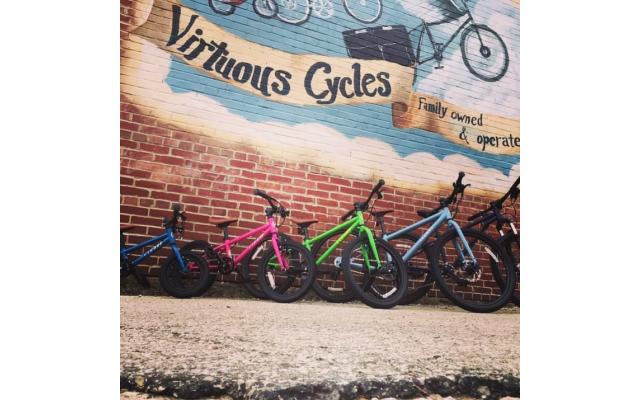 Virtuous Cycles Mural