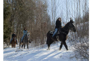 Horseback Riding In The Pocono Mountains Stables Trails