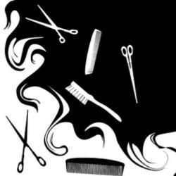 Custom Cuts by Clara