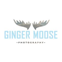square_logo-GingerMoose-hi_res