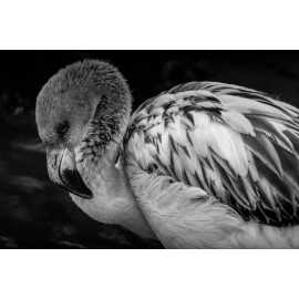 Tracy Aviary | Salt Lake City, UT 84105-1111