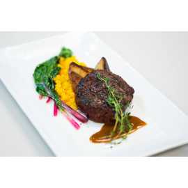 Loveland Living Planet Aquarium