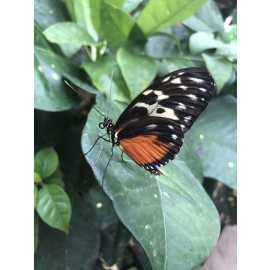 Thanksgiving Point | Lehi, UT 84043