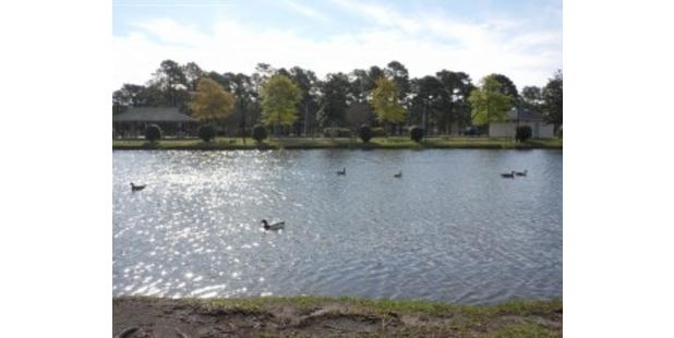 Ogden Park