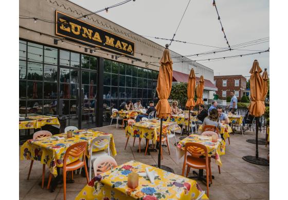 Luna Maya Norfolk Va 23518