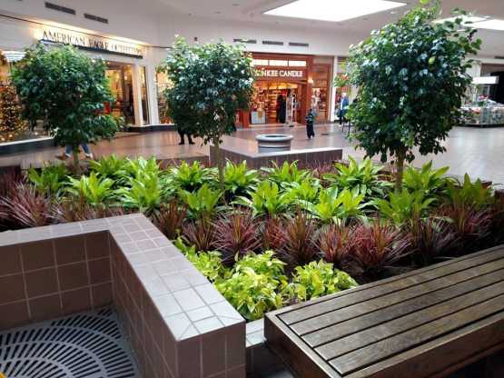 Capital InteriorScapes mall planting