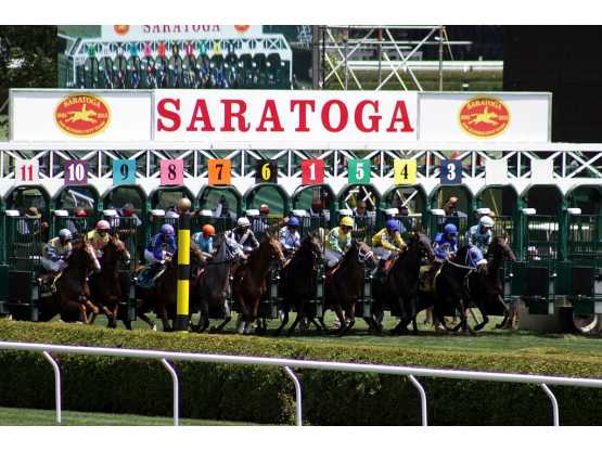 Track photo at starting gate