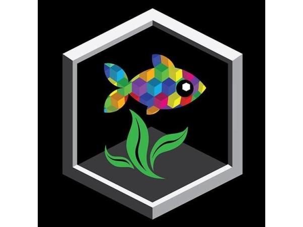 cuboid nature aquarium