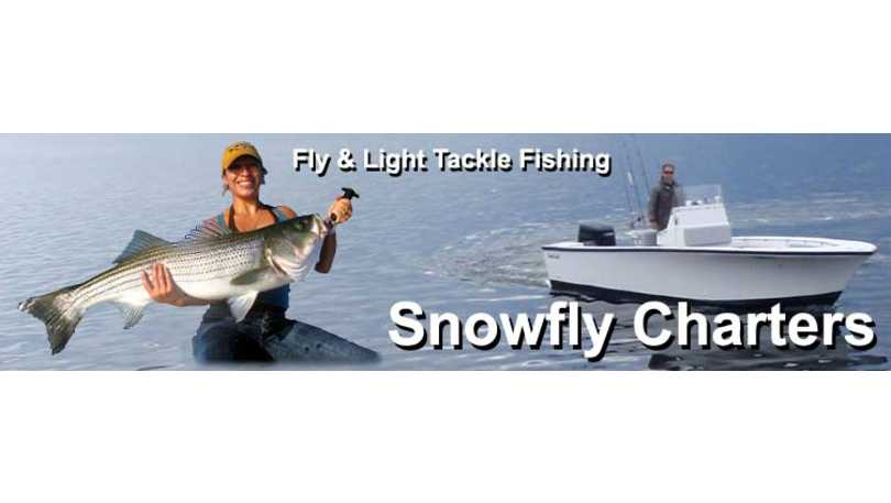 snowfly