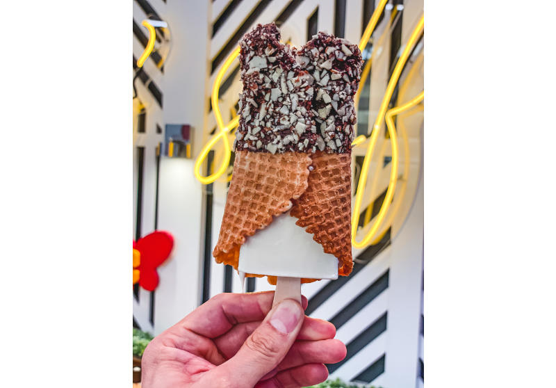 Monarca Paleta