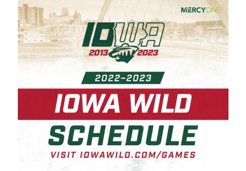 Iowa Wild vs Coachella Valley Firebirds