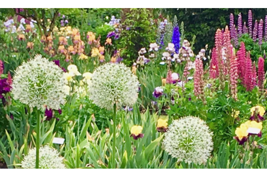 Cannon Beach Cottage Flowers