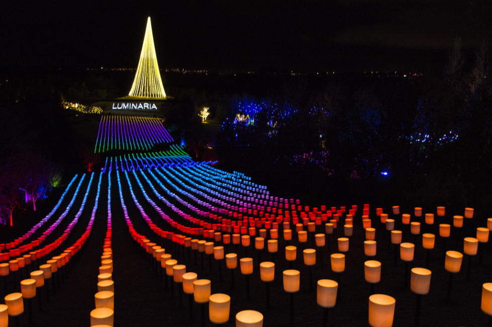 Luminaria