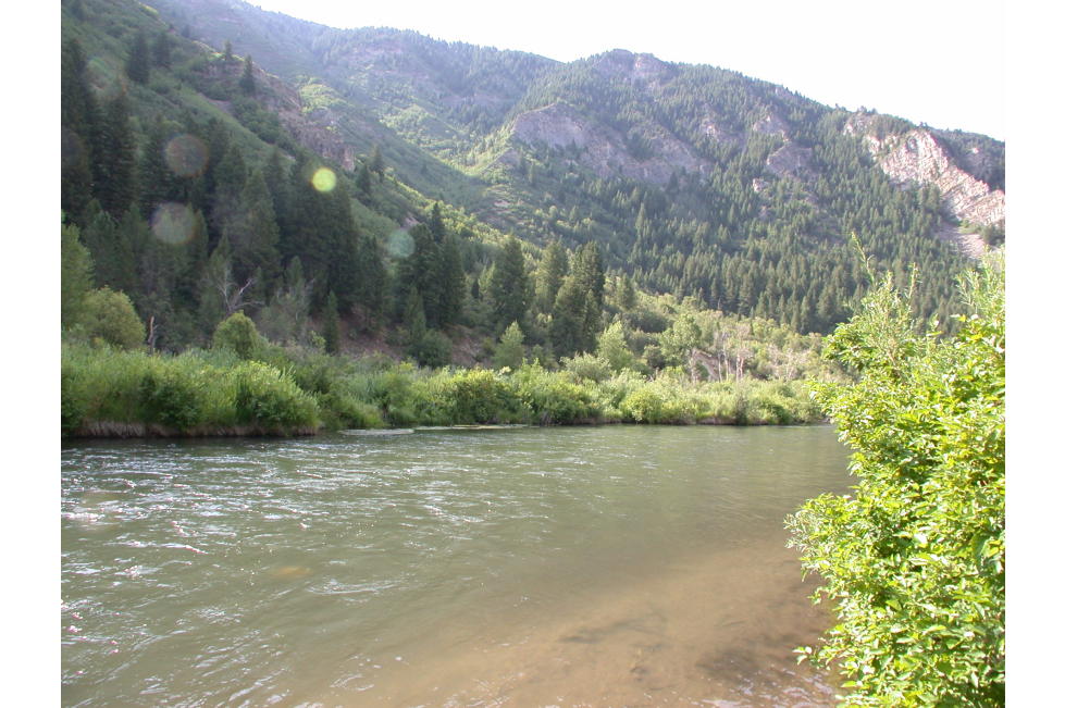 Provo River