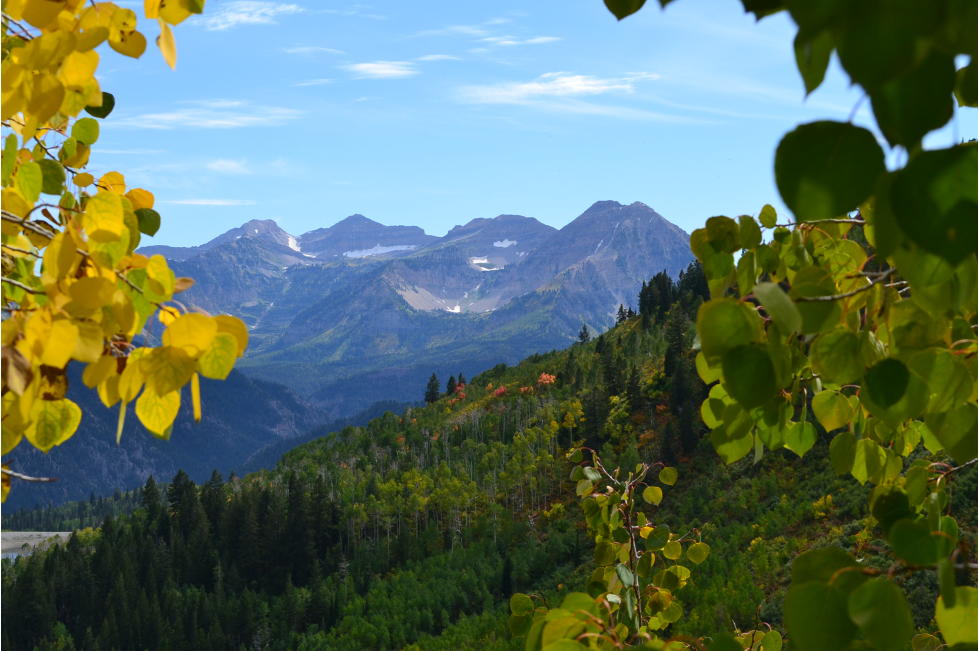 American Fork Canyon 4