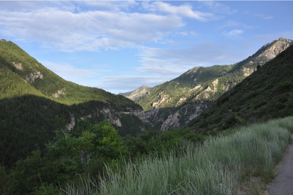American Fork Canyon Utah2