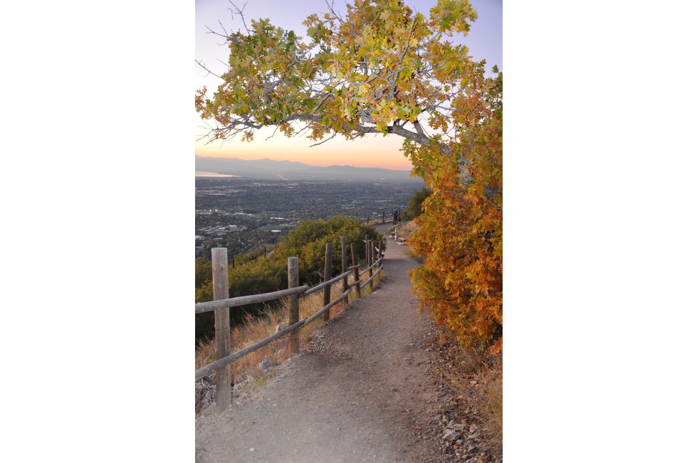 Y Mountain in the Fall