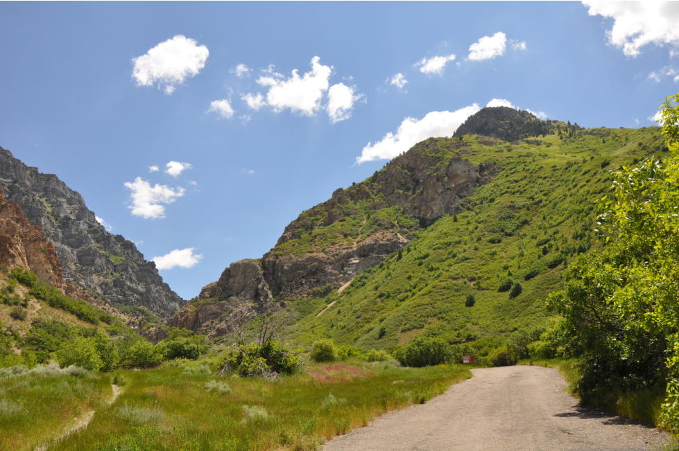 Rock Canyon 2