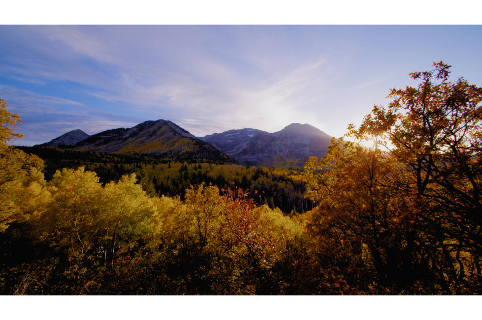 Alpine Loop