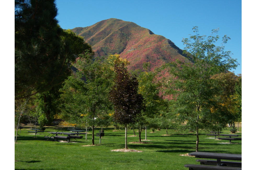 Picnic Area