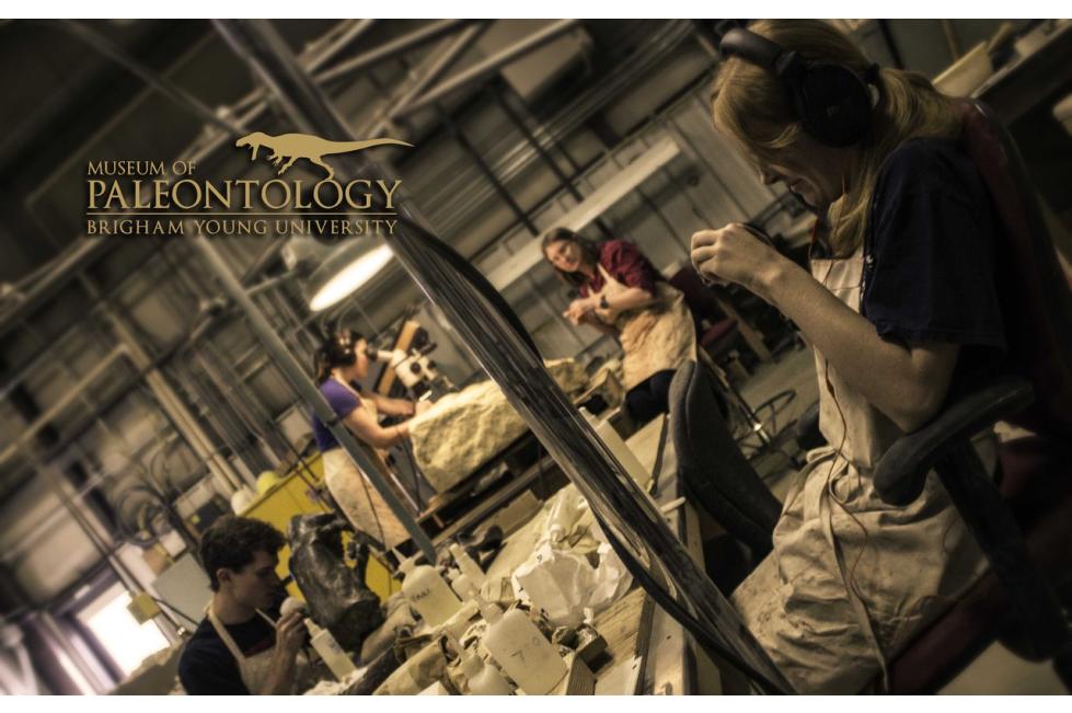Paleontologists at Work