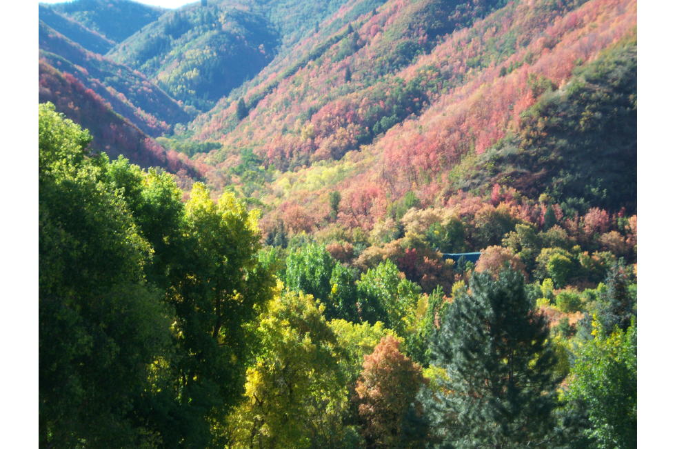 Springville Canyons
