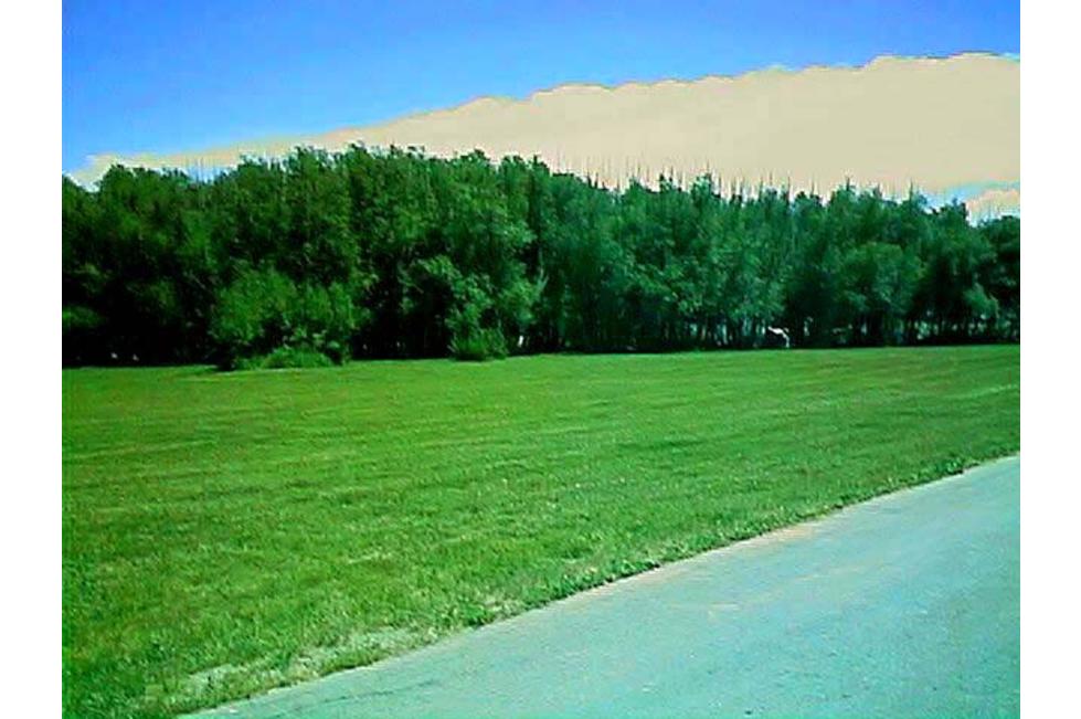Willow Park