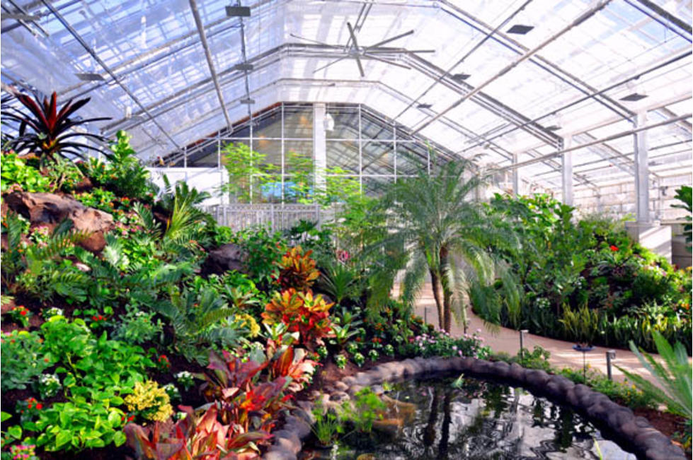 Butterfly Biosphere