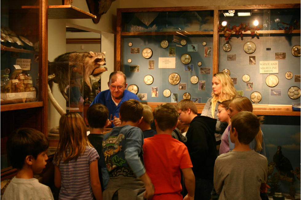 Teaching at the Museum