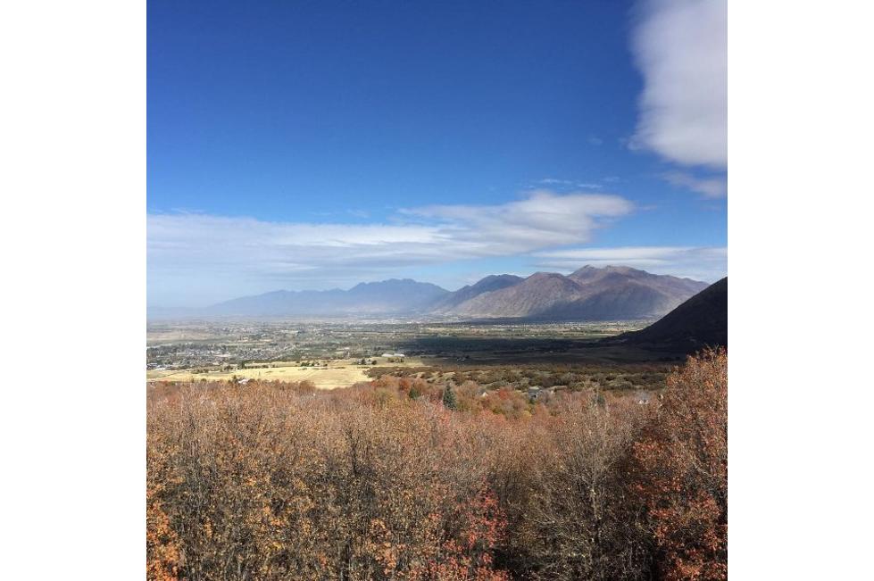 Woodland Hills (Kevin Thorn Crowdriff)