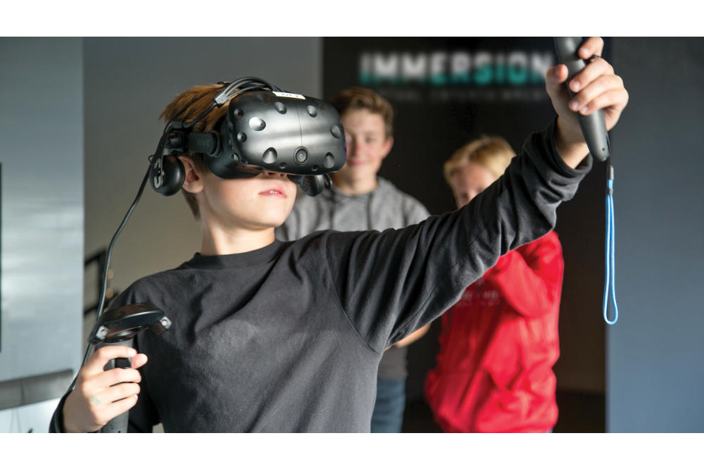 Immersion Virtual Reality
