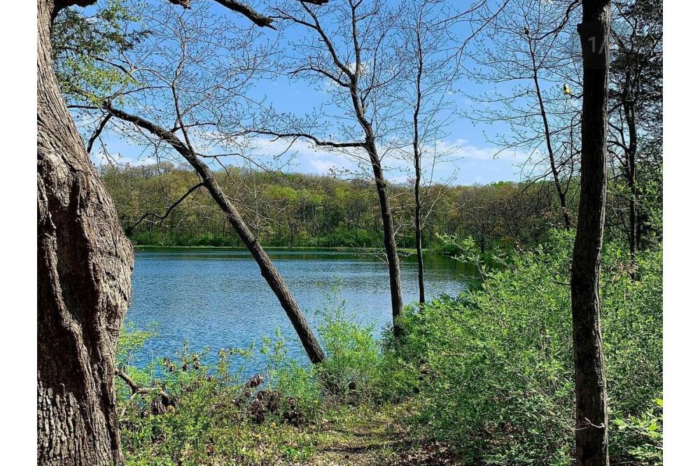 Bromley Kettle Pond