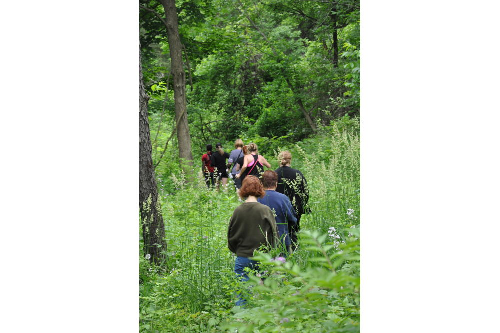 Trail_Hiking_group