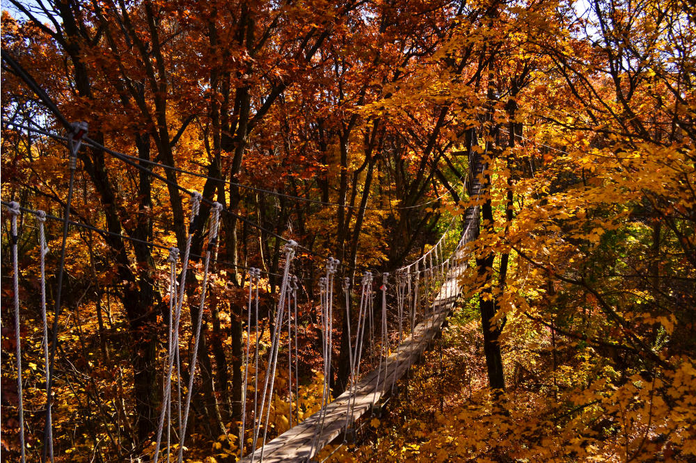 Fall