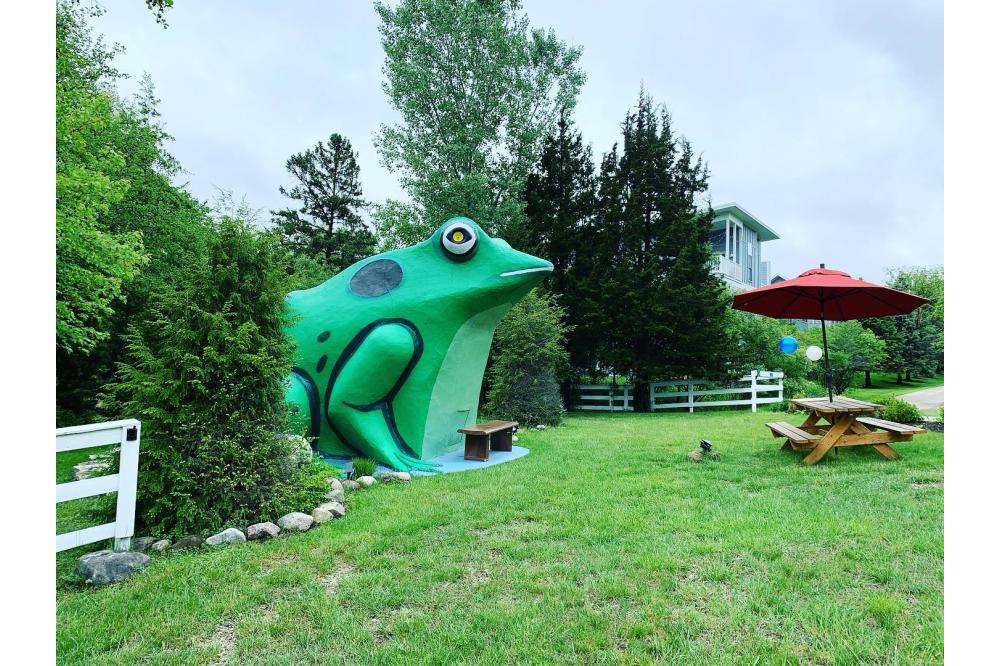 frog