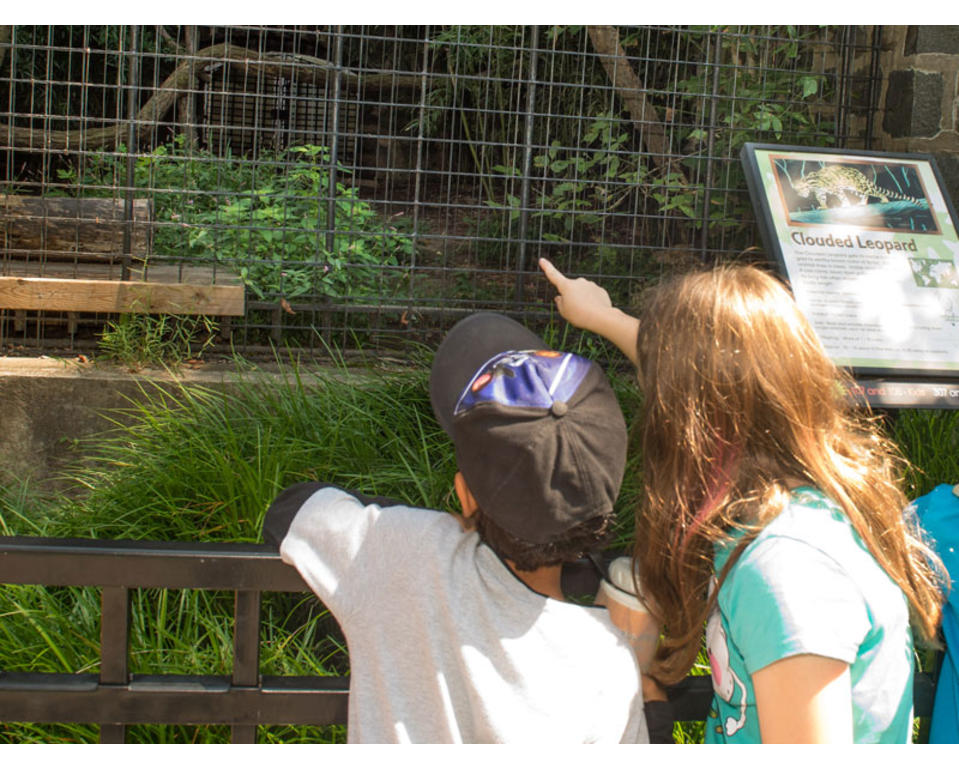 Brandywine Zoo Wilmington, DE 19802