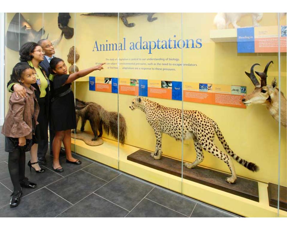 Delaware Museum of Natural History Wilmington, DE 19807