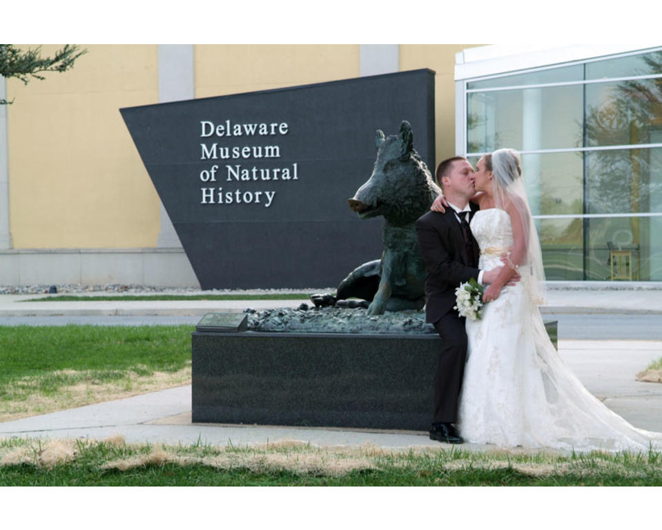 Delaware museum of natural history coupon