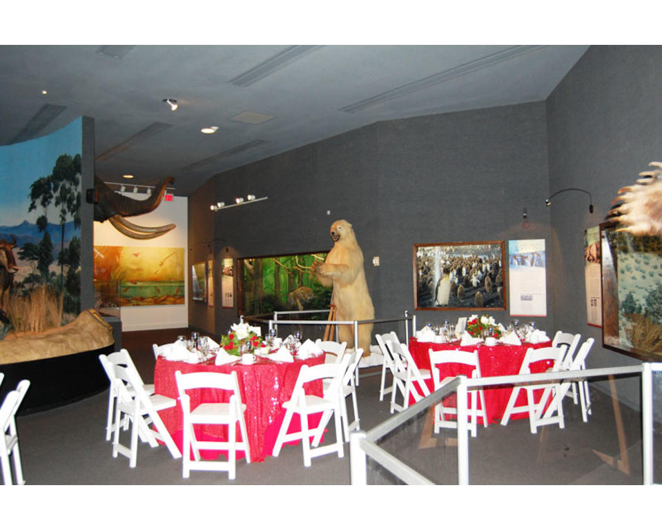 Delaware Museum of Natural History | Wilmington, DE 19807