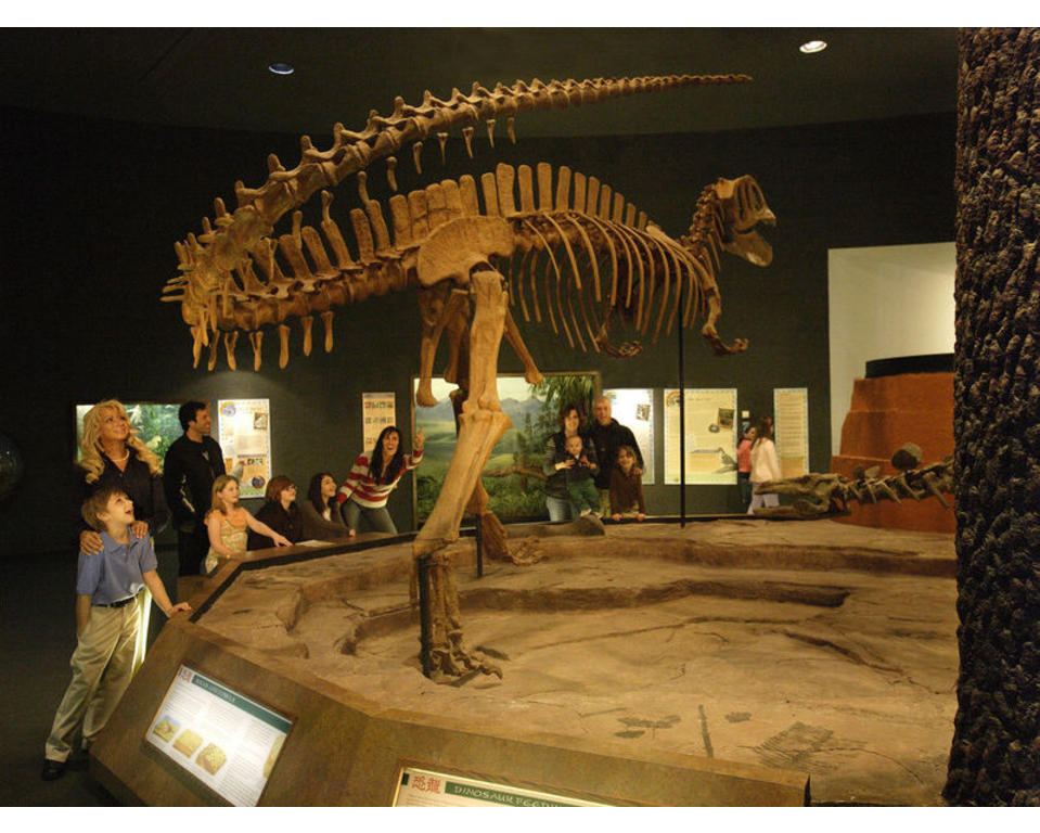 Delaware Museum Of Natural History Wilmington De 19807