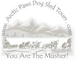 arctic paws dog sled tours