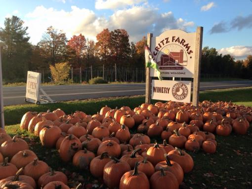 Things To Do With Kids In Syracuse Family Friendly Activities