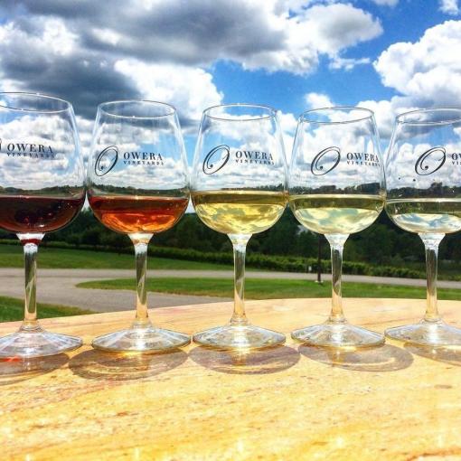 Sip On Syracuse Wine And Breweries Things To Do
