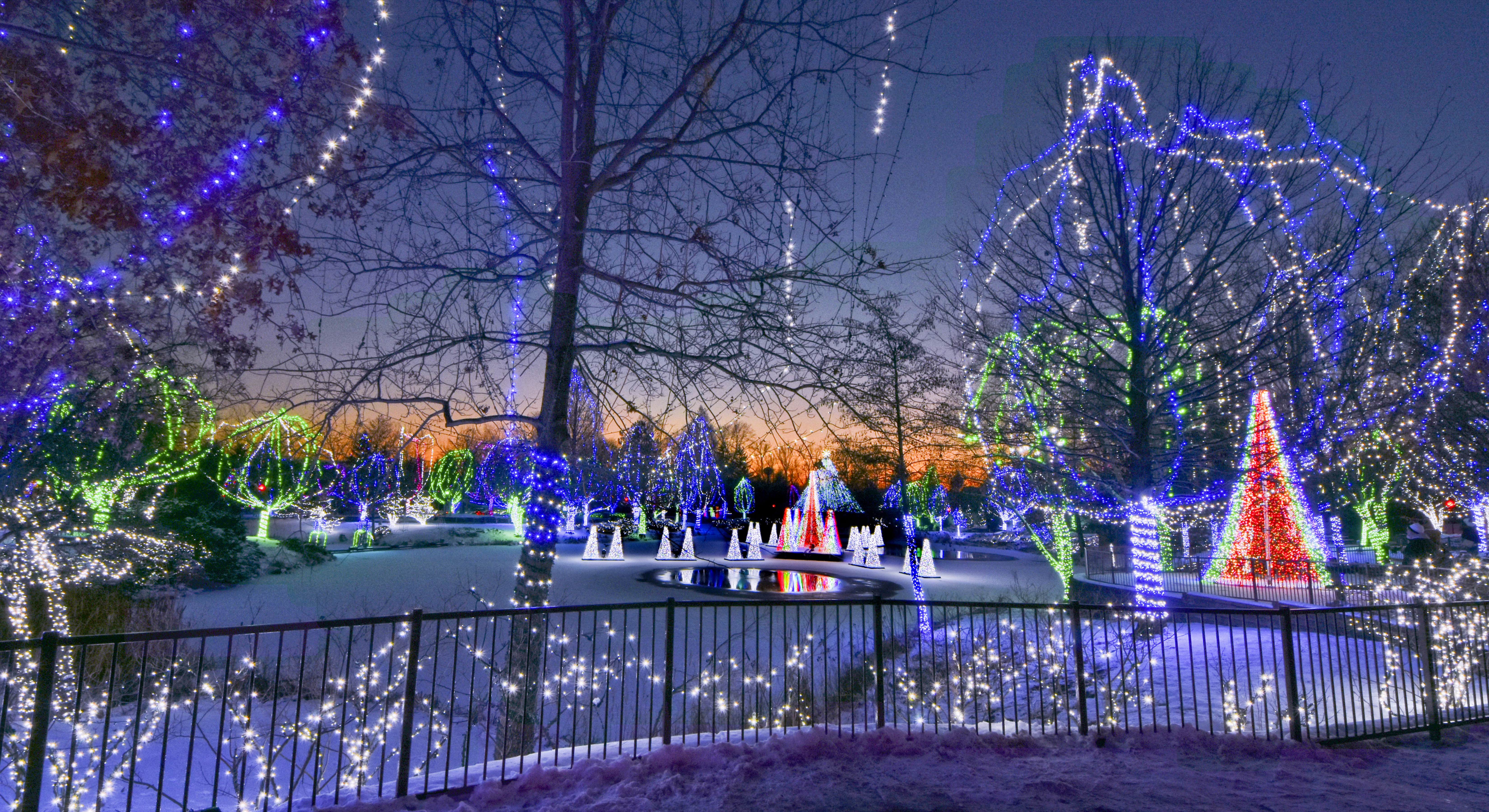 columbus zoo christmas lights 2020 how much Wildlights 11 20 20 1 5 21 Powell Oh 43065 columbus zoo christmas lights 2020 how much