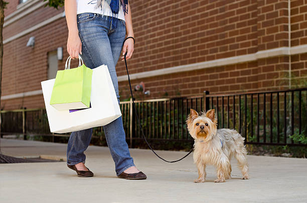 Pets On Lane Fall Event