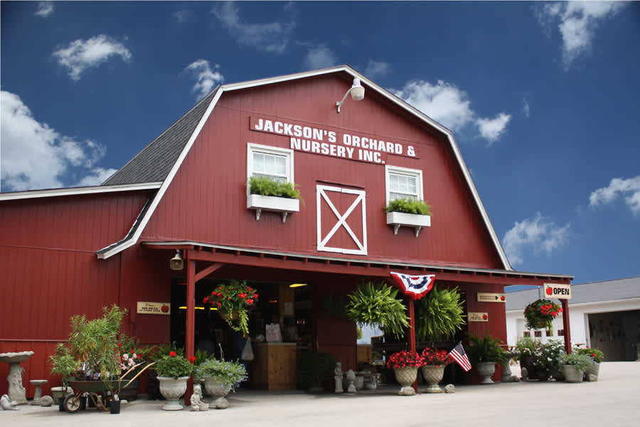 Jackson S Orchard
